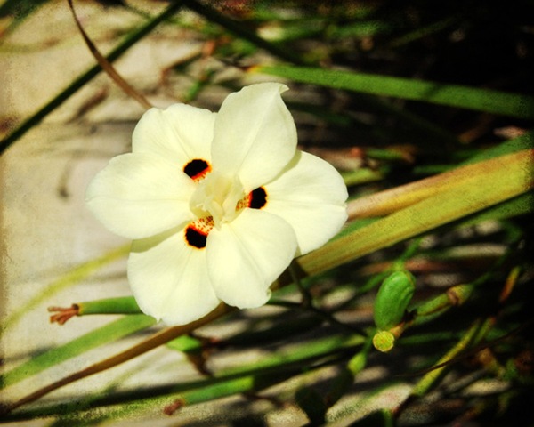 [DSC_0003 copy2[6].jpg]